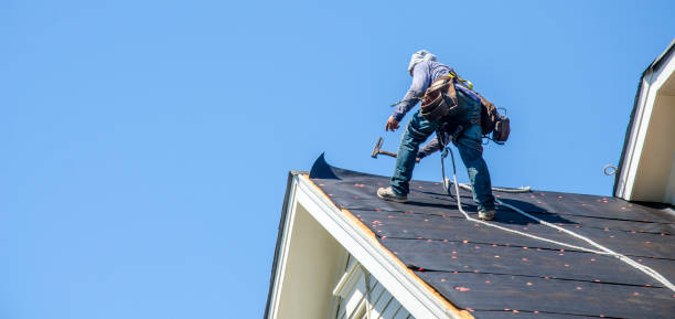 Best Roof Gutter Cleaning  in Zillah, WA